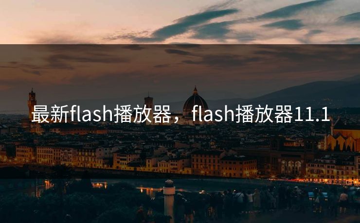 最新flash播放器,flash播放器11.1
