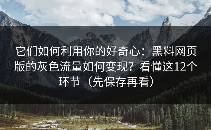它们如何利用你的好奇心:黑料网页版的灰色流量如何变现?看懂这12个环节(先保存再看)