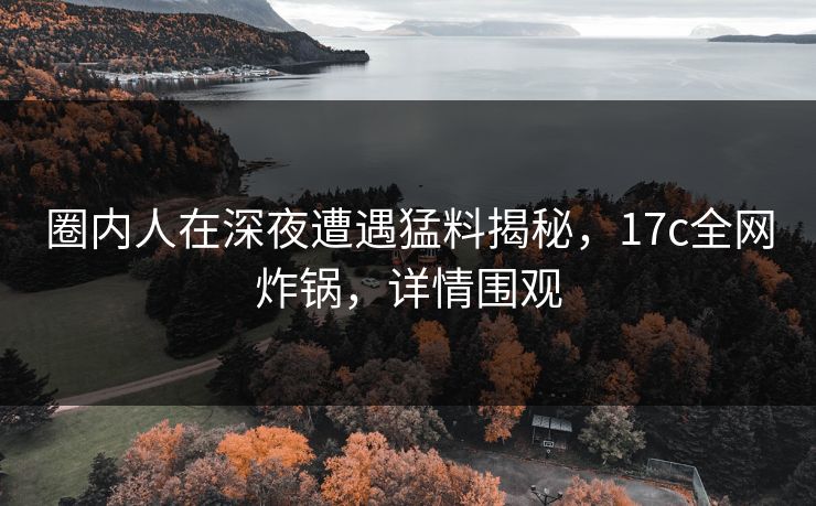 圈内人在深夜遭遇猛料揭秘，17c全网炸锅，详情围观