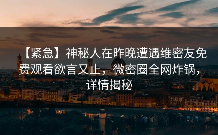 【紧急】神秘人在昨晚遭遇维密友免费观看欲言又止，微密圈全网炸锅，详情揭秘